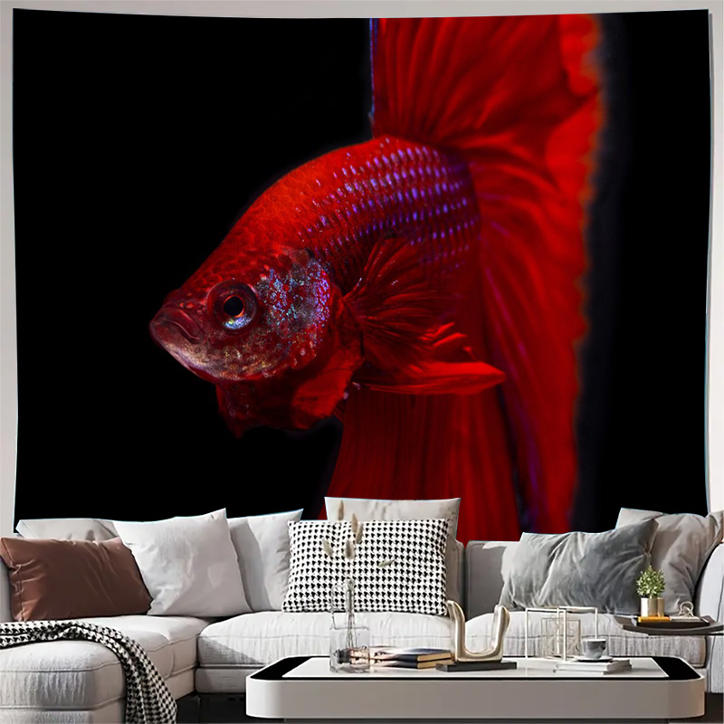 Fish Aquarium Home - Permadani Ikan Betta Merah Cerah Hiasan
