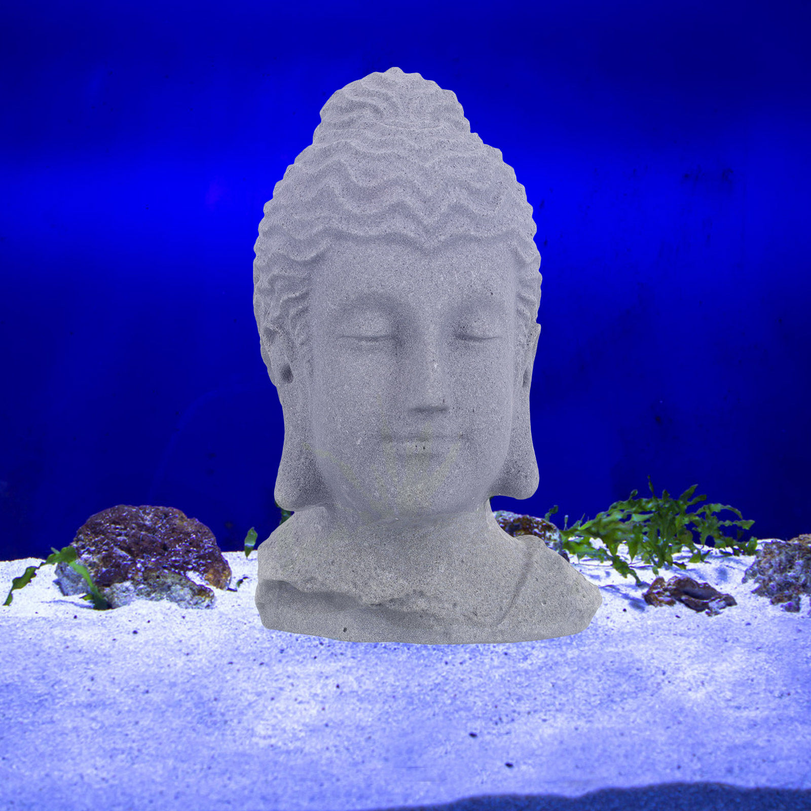Patung Kepala Buddha untuk Med - Aquarium Decor ulasan dan harga