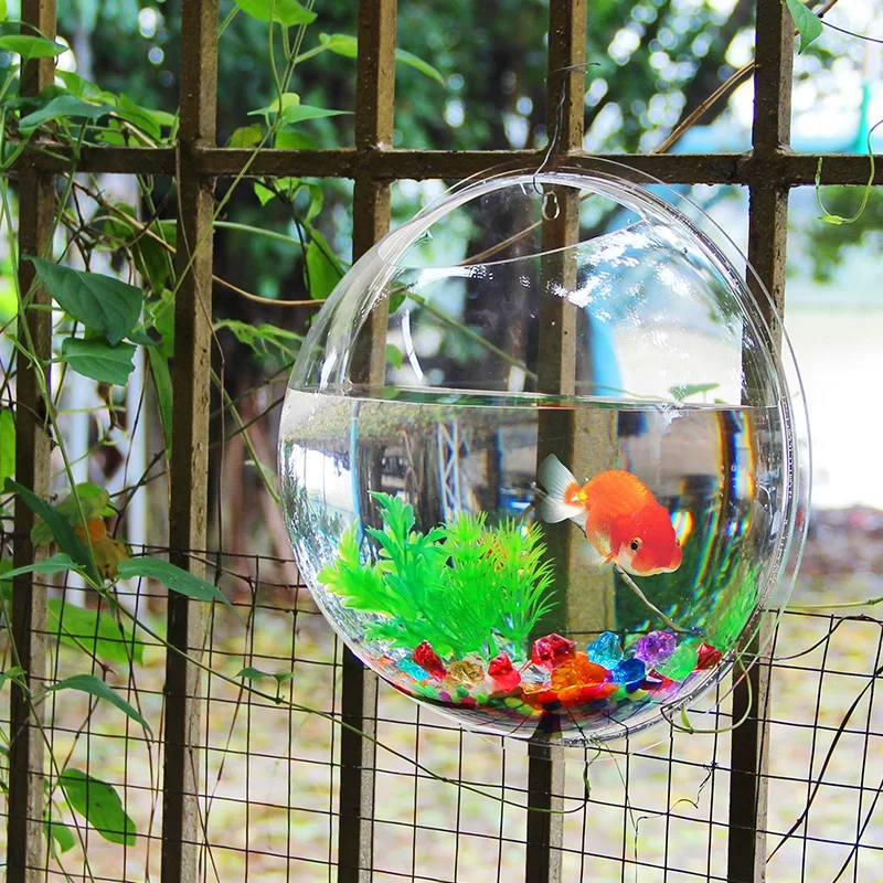 Akuarium Akrilik Pinsjar untuk - Betta Fish Tank ulasan dan harga