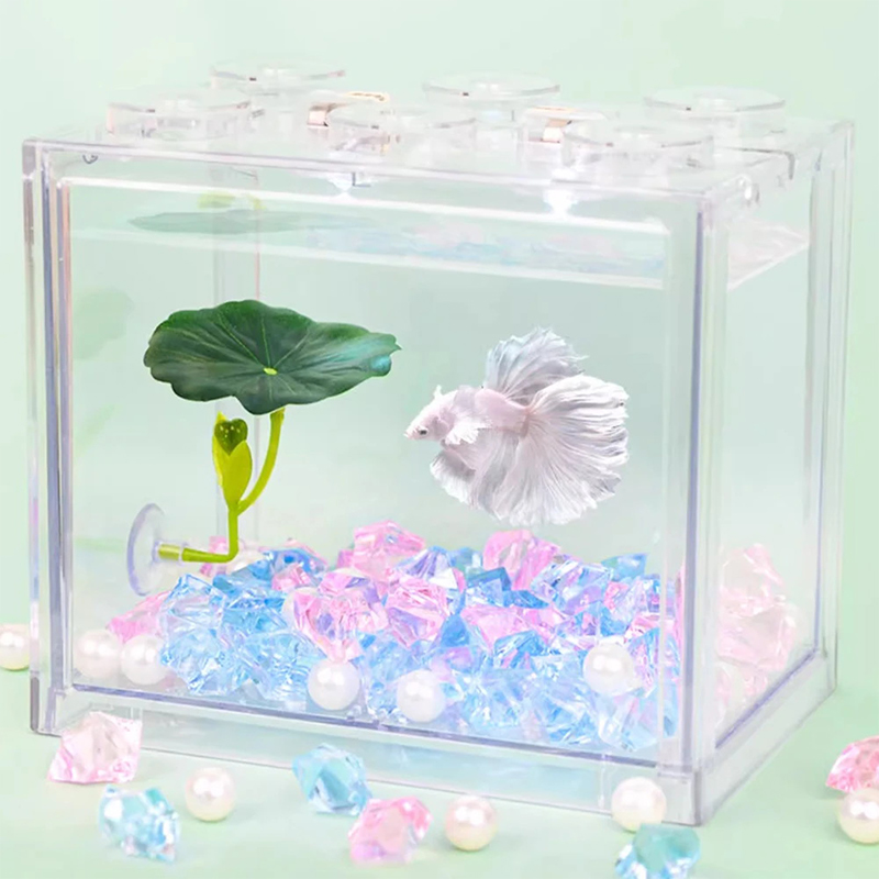 (Ce14)1/5PC Akuarium Daun Hija - Aquarium Fish Betta ulasan dan harga