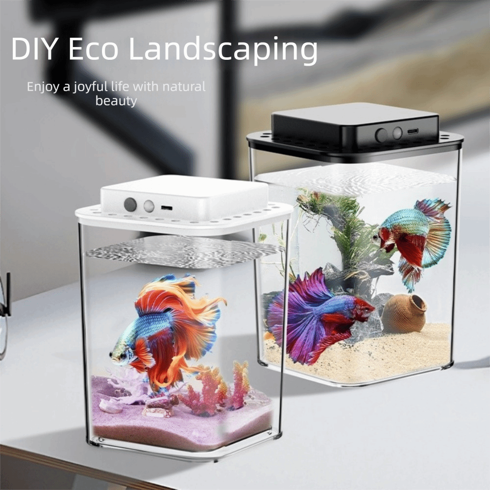 Akuarium Ikan Cupang Transpara - Betta Fish Tank ulasan dan harga
