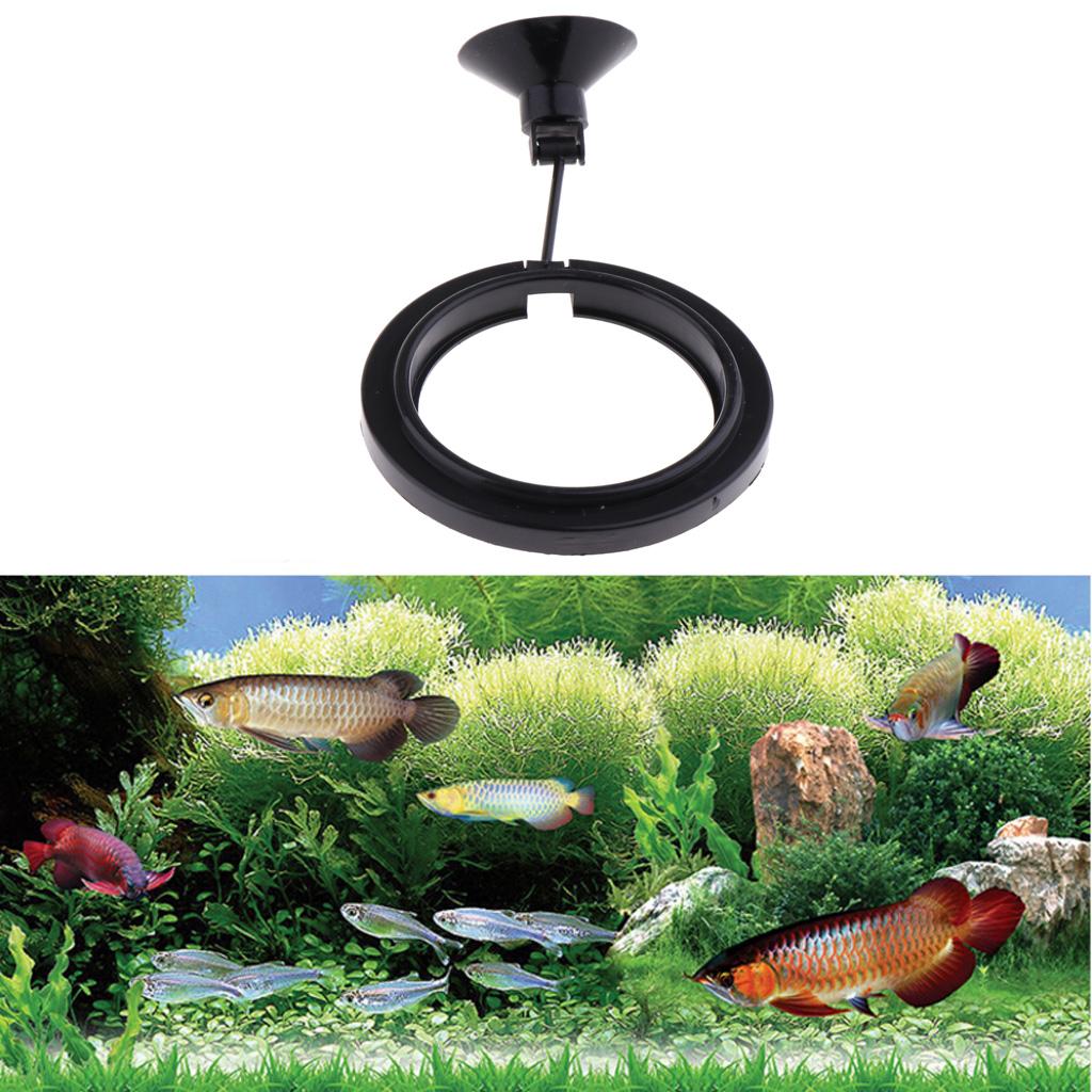 Alat Pemberi Makan Ikan, Wadah - Aquarium Fish Keeping ulasan dan harga