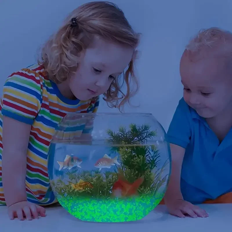 1000 buah 3-5mm pasir bercahay - Fish Aquarium Home ulasan dan harga