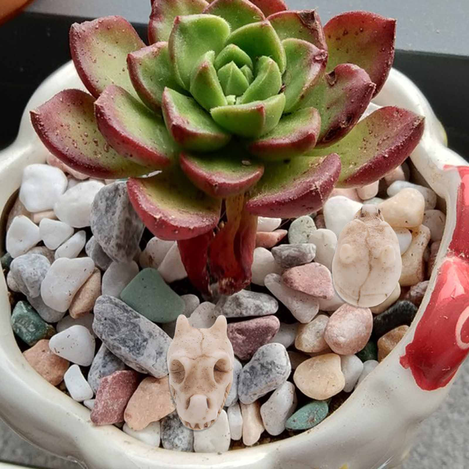 20 buah Hiasan Tengkorak Naga  - Aquarium Decor ulasan dan harga