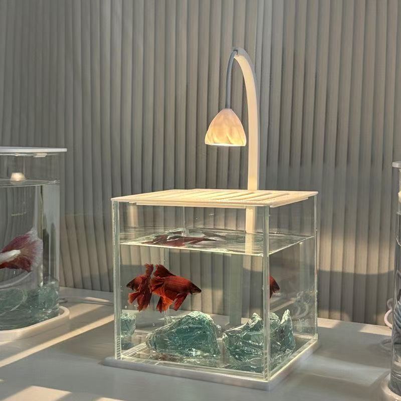 Akuarium Akrilik dengan Hiasan - Betta Fish Tank ulasan dan harga