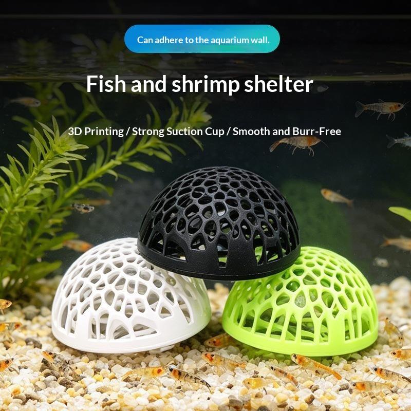 Rumah Udang Akuarium Baru, Ben - Betta Fish Tank ulasan dan harga