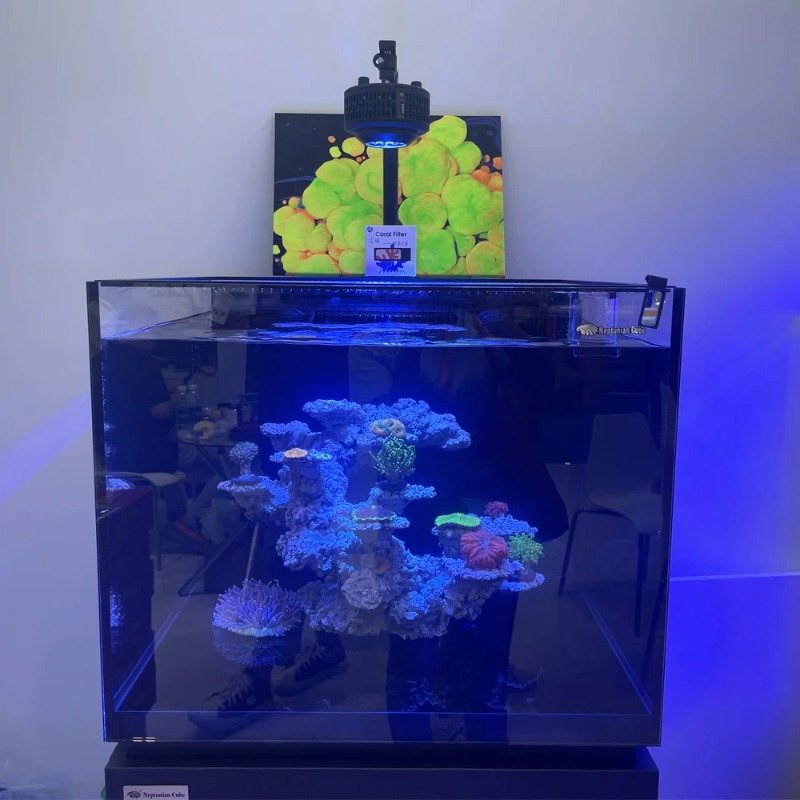Lampu LED Akuarium Air Laut Sp - Aquarium Light ulasan dan harga