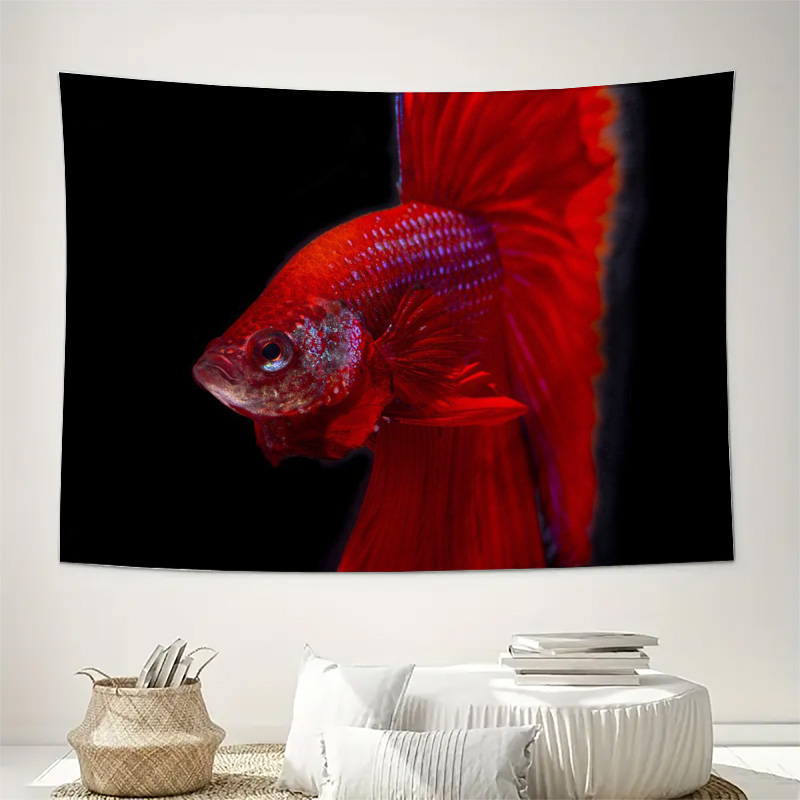 Permadani Ikan Betta Merah Cer - Fish Aquarium Home ulasan dan harga